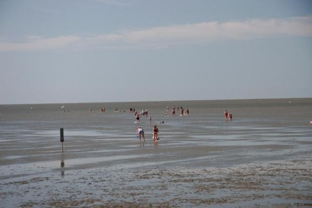 Friesenhof Friedrichskoog Exterior foto